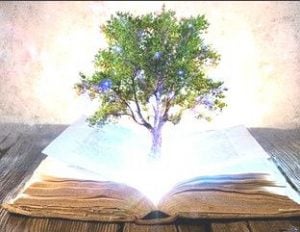 Registros Akáshicos experiencias